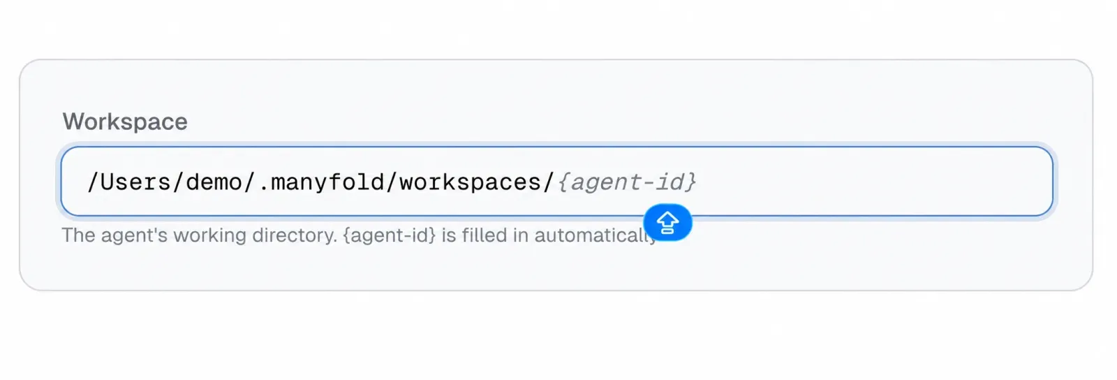 The Workspace input shows a neutral Manyfold demo working-directory path